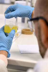 Extra steun aan tewerkstellingscellen